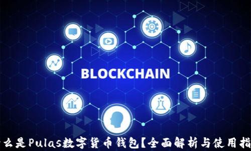 
什么是Pulas數(shù)字貨幣錢包？全面解析與使用指南