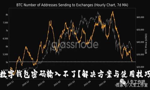 數(shù)字錢包密碼輸入不了？解決方案與使用技巧