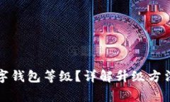 如何升級(jí)數(shù)字錢包等級(jí)？
