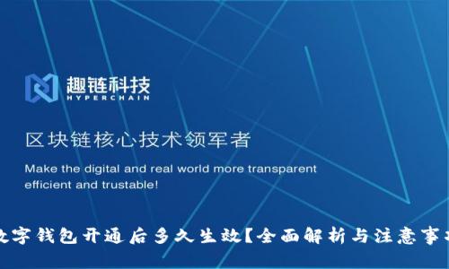 數(shù)字錢包開通后多久生效？全面解析與注意事項
