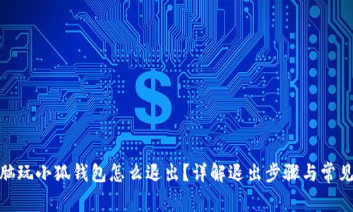 : 電腦玩小狐錢包怎么退出？詳解退出步驟與常見問題