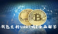 MetaMask錢包支持USDT嗎？全