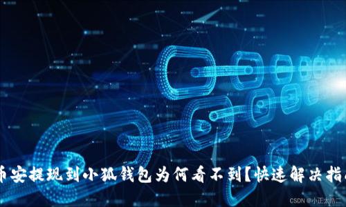 幣安提現(xiàn)到小狐錢包為何看不到？快速解決指南