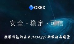 數(shù)字錢包的未來(lái)：topayy1的