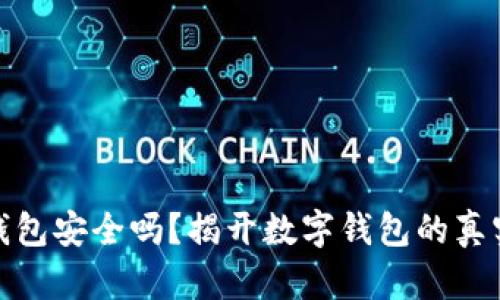 小狐錢(qián)包安全嗎？揭開(kāi)數(shù)字錢(qián)包的真實(shí)面紗