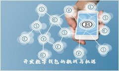 開發(fā)數(shù)字錢包的挑戰(zhàn)與機(jī)