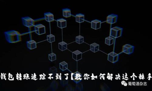 數(shù)字錢包轉(zhuǎn)賬追蹤不到了？教你如何解決這個棘手問題