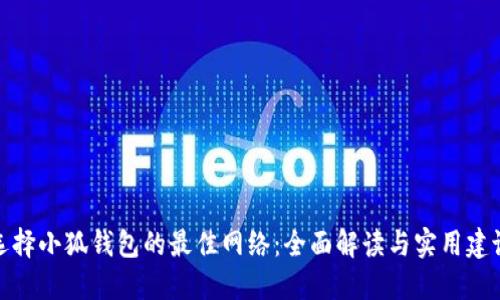 選擇小狐錢包的最佳網(wǎng)絡(luò)：全面解讀與實用建議