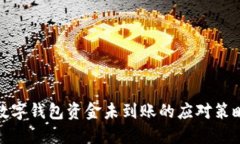 數(shù)字錢包資金未到賬的應