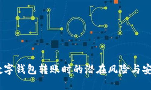 小心！數(shù)字錢包轉(zhuǎn)賬時(shí)的潛在風(fēng)險(xiǎn)與安全措施